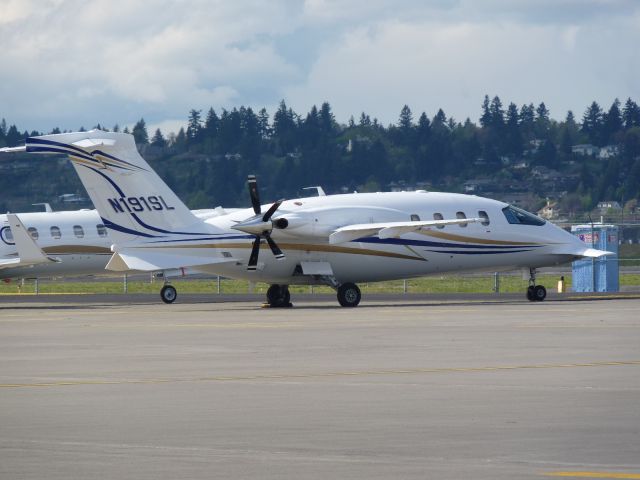 Piaggio P.180 Avanti (N191SL)