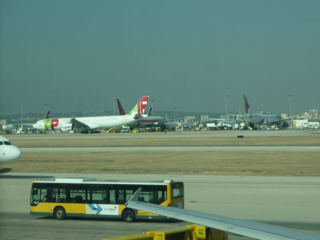 Airbus A330-300 (CS-TOO) - AEROPORTO DA PORTELA