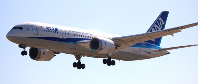 Boeing 787-8 (JA828A) - HN 172, On Final 30L from NRT  09-15-2016