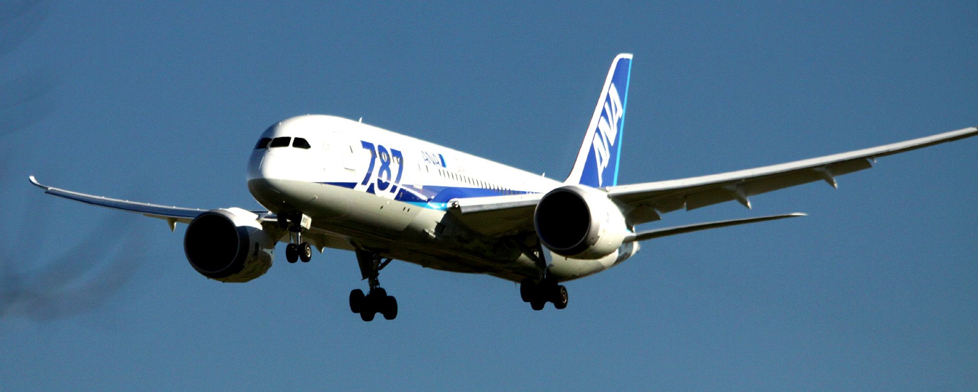 Boeing 787-8 (JA813A) - Just behind tree, on Final to 30L, 01-14-2013 .. Arrival 4 hours late, due to severe thunderstorms in Toyko.