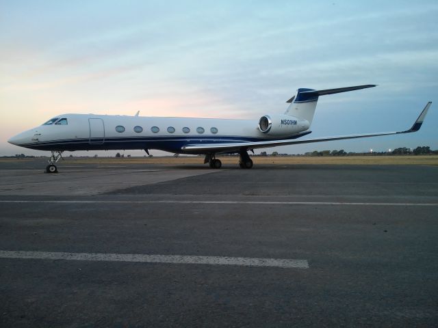 Gulfstream Aerospace Gulfstream V (N501HM)