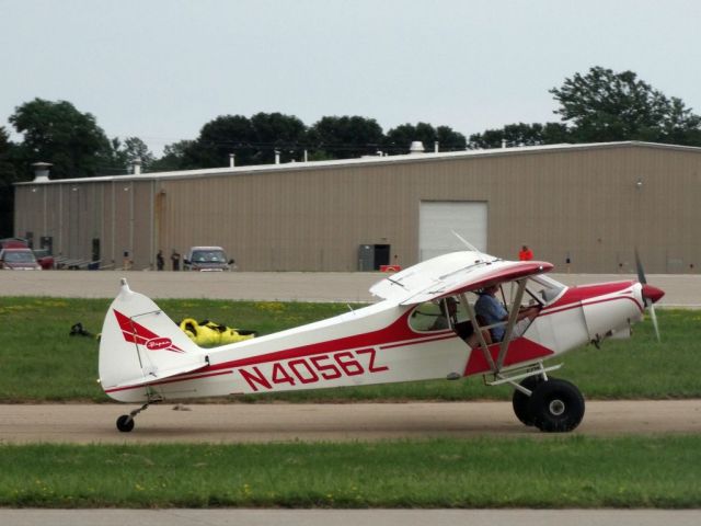 Piper L-21 Super Cub (N4056Z)