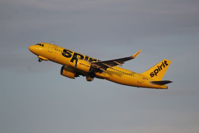 Airbus A320neo (N905NK)