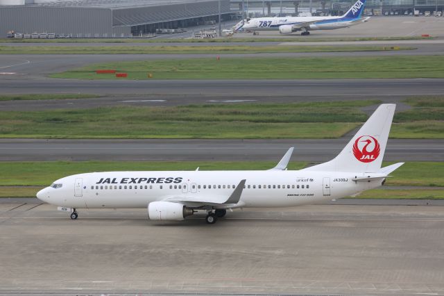 Boeing 737-800 (JA309J)
