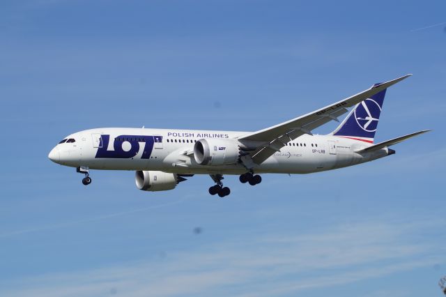 Boeing 787-8 (SP-LRB) - Approach shot from the Proud Bird restaurant at LAX.  Photographed February 23rd 2019.