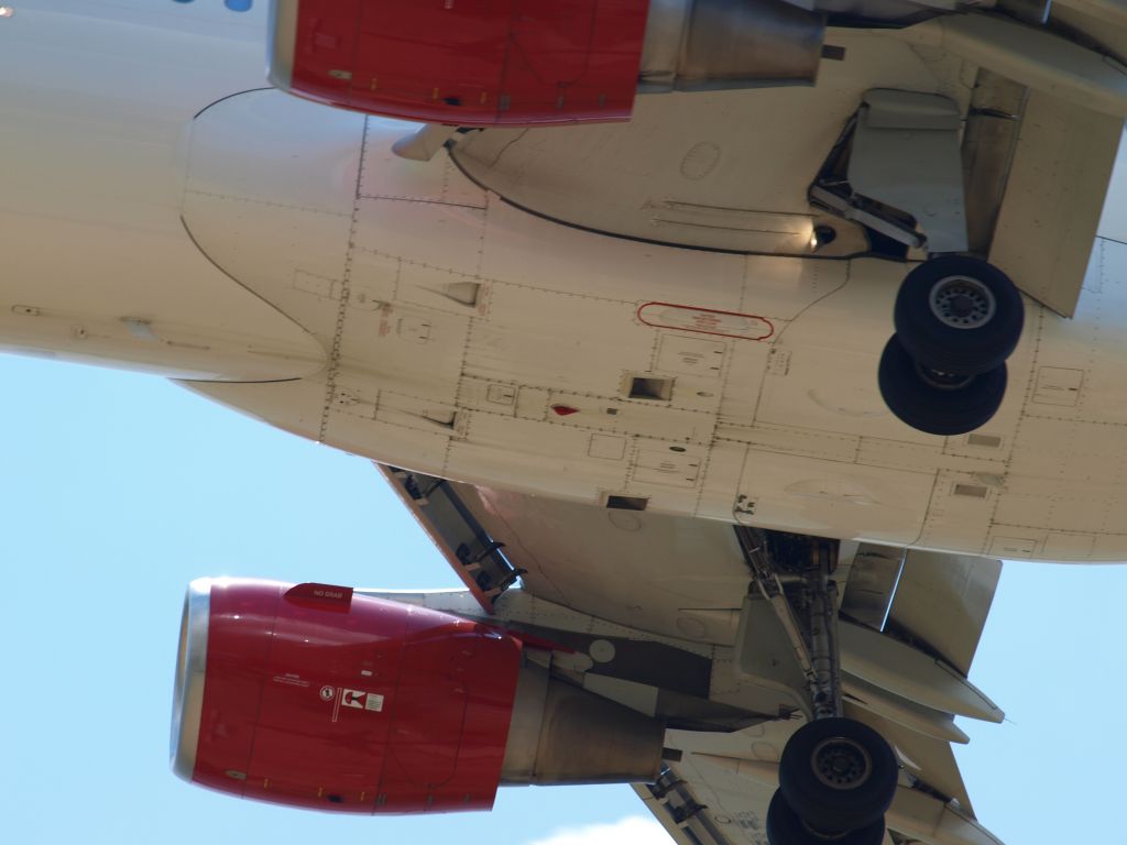 Airbus A320 (N836VA) - Nose: 1-year old virgin