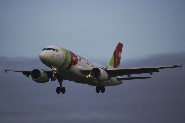 Airbus A319 (CS-TTO) - Airbus A319-111, TAP Air Portugal, CS-TTO, 13.Oct.2022, EGLL London Heathrow, Myrtle Ave