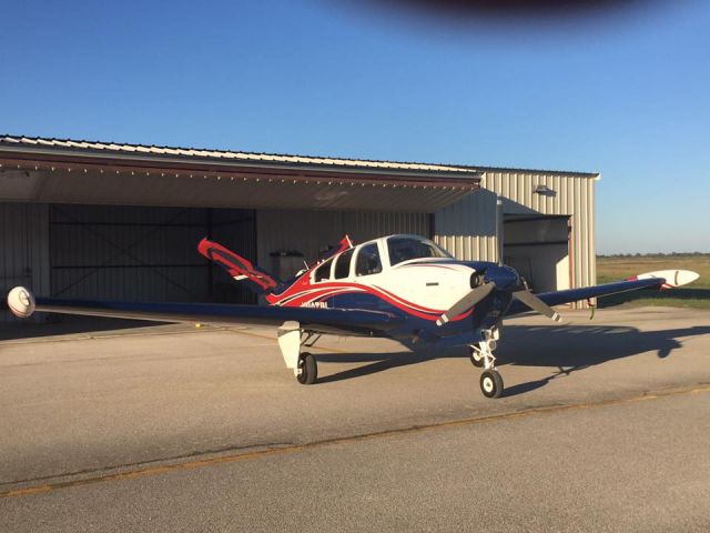 Beechcraft 35 Bonanza (N113TW) - Fresh from the paintshop