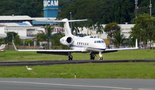 Gulfstream Aerospace Gulfstream IV (N915AM)