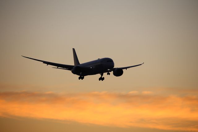 Boeing 787-8 (JA826J)