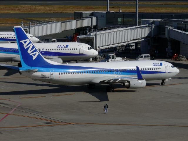 Boeing 737-800 (JA62AN)