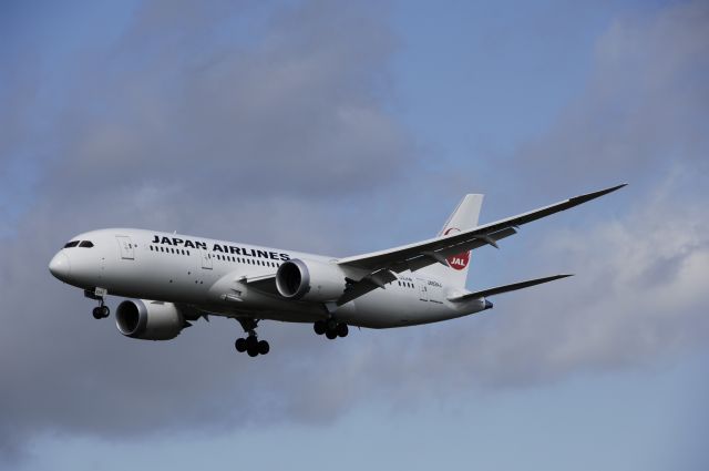 Boeing 787-8 (JA824J) - Final Approach to Narita Intl Airport rwy16L on 2013/08/20