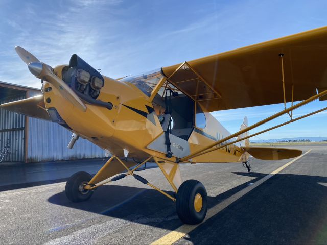 Piper NE Cub (N440TX)