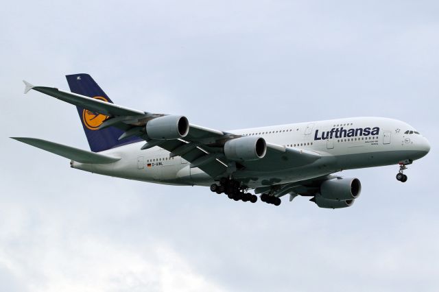 Airbus A380-800 (D-AIML)