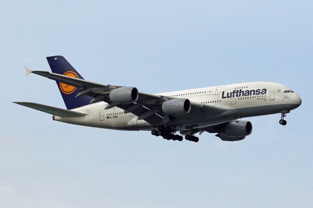 Airbus A380-800 (D-AIMG)