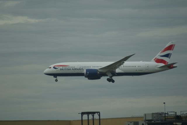 Boeing 787-8 (G-ZBJF) - British Airways B787-8 Dreamliner cn38613