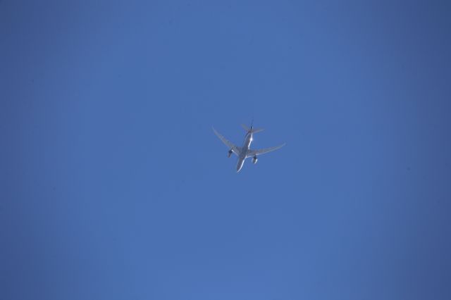 Boeing 787-8 (N814AA)