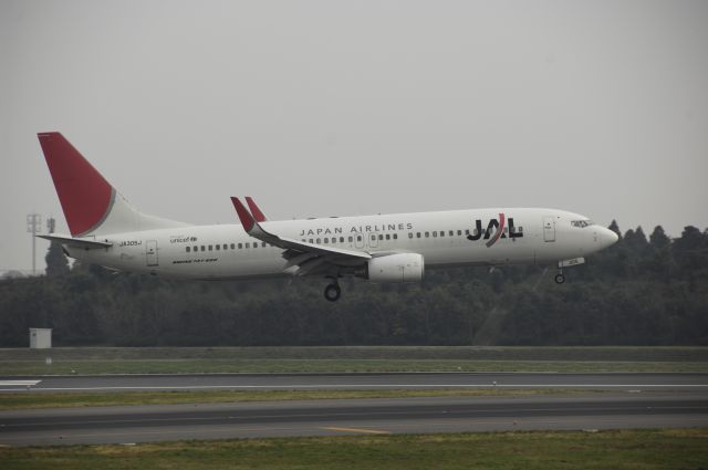 Boeing 737-800 (JA305J) - Landing at NRT Airport Runway 16L on 2011/11/3