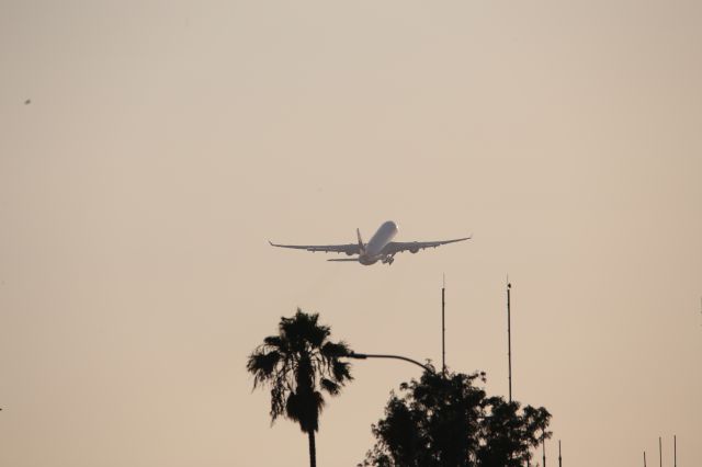Airbus A330-200 (EC-MLB)