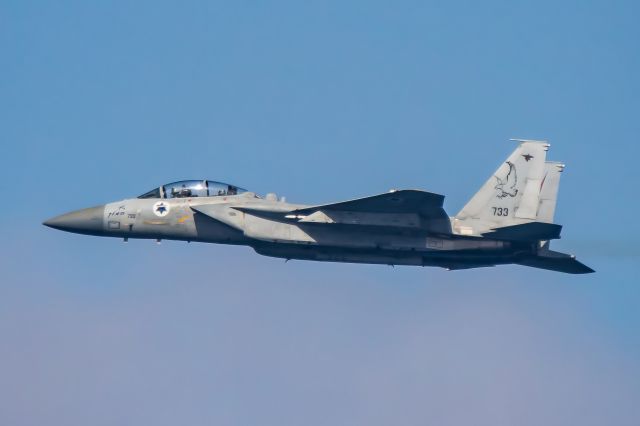 McDonnell Douglas F-15 Eagle (0733)