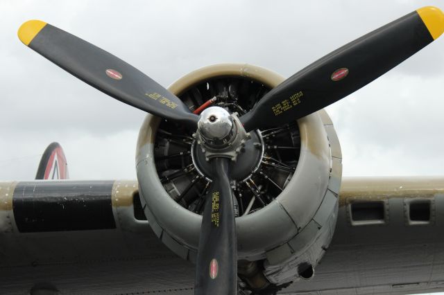 Boeing B-17 Flying Fortress (N93012) - Nine-O-Nine B-17G visiting KFXE on 2/10/13, along with Witchcraft B-24J and Betty Jane P-51C.