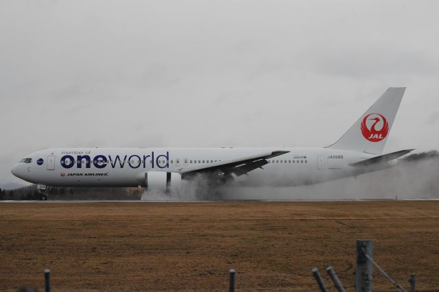 BOEING 767-300 (JA8980) - April 7th 2019:HND-HKD.