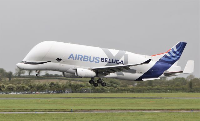 F-WBXL — - airbus beluga xl f-wbxl testing at shannon 20/5/21.