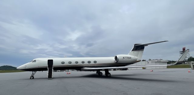 Gulfstream Aerospace Gulfstream V (N779WA)