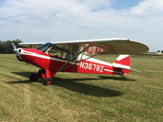 Piper L-21 Super Cub (N3678Z) - Piper Super Cub