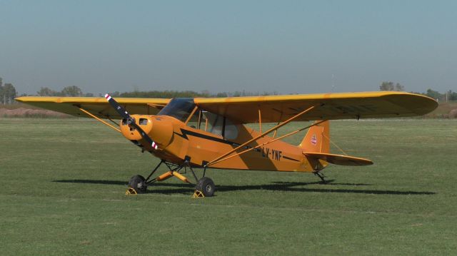 Piper L-18B Cub Special (LV-YNF) - Luján's classic aircraft, as described by my grandmother.
