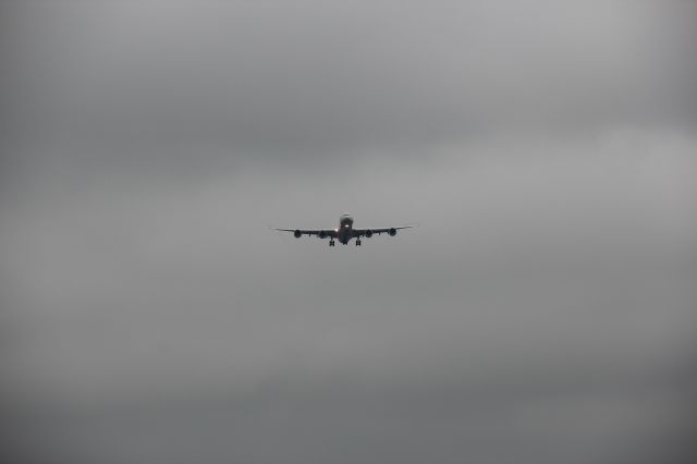 Airbus A340-600 (D-AIHW) - An A346 arriving from Munich. 
