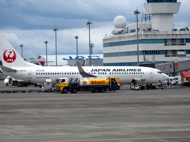 Boeing 737-800 (JA319J)