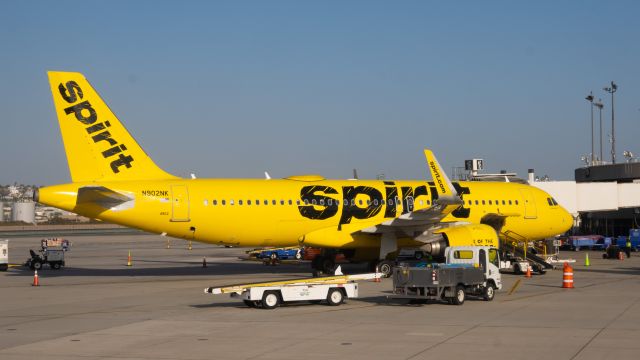 Airbus A320neo (N902NK) - Parked at the gate in San Diego.