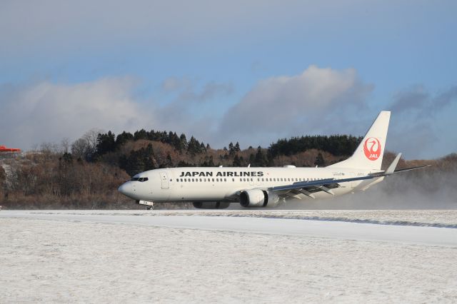 Boeing 737-800 (JA314J) - November 23rd 2018:HND-HKD.