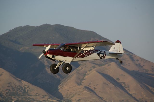 Piper L-21 Super Cub (N111XC) - BEST TUGS CARBON CUB! SO AWESOME!