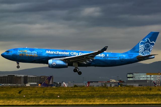 Airbus A330-300 (A6-EYE) - bad weather in Frankfurt!