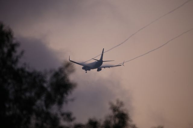 Boeing 737-900 (N457AS)
