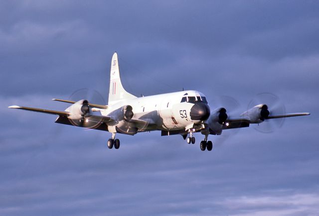 A9753 — - AUSTRALIA - AIR FORCE -LOCKHEED AP-3C ORION - REG A9-753 (CN 285D-5660) - EDINBURGH RAAF BASE ADELAIDE SA. AUSTRALIA - YPED (4/10/1984)35MM SLIDE SCANNED AT 6400 DPI.