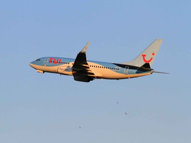 Boeing 737-700 (OO-JAL) - Brussels EBBR - Faro LPFR.