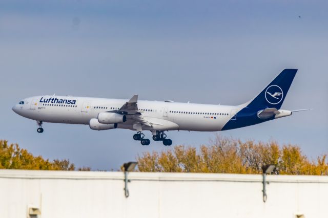 Airbus A340-300 (D-AIGY) - A Lufthansa A340-300 landing at DFW on 11/25/22. Taken with a Canon 850D and Tamron 150-600 G2 lens.