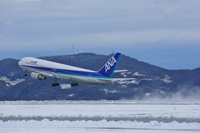 BOEING 767-300 (JA8290)