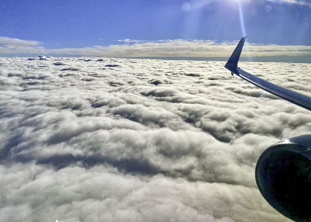 Boeing 737-800 — - On a flight between PHX and SEA. 