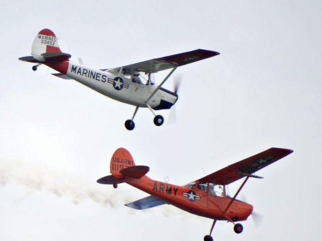 Cessna L-19 Bird Dog (N5190G)