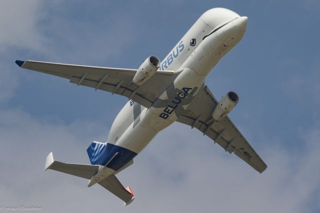 AIRBUS A-330-700 Beluga XL (F-WBXL)