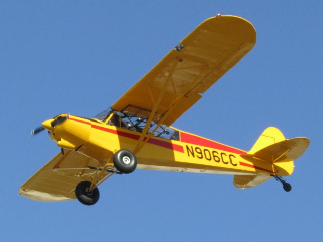 Piper L-21 Super Cub (N906CC) - Landing RWY 24