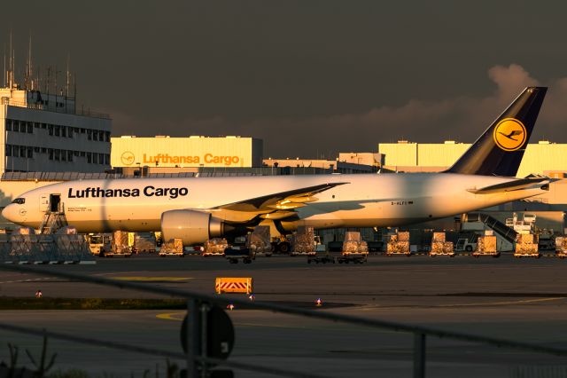 Boeing 777-200 (D-ALFC) - evening