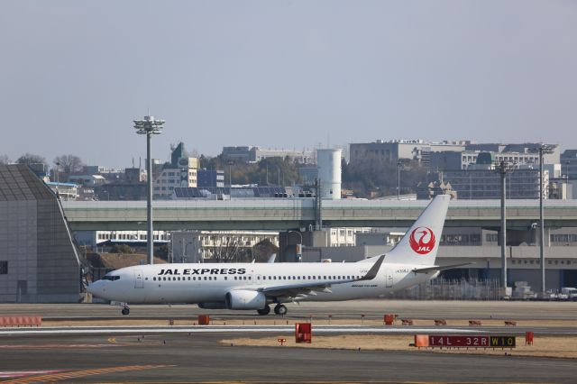 Boeing 737-800 (JA308J)