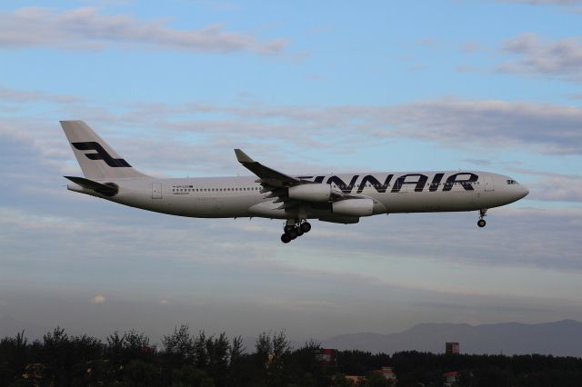 Airbus A340-300 (OH-LQG)