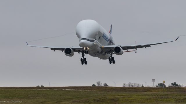 AIRBUS A-330-700 Beluga XL (F-WBXL)