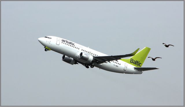 YL-BBO — - Air Baltic Boeing 737-33V (YL-BBO) AMS 24-4-2013